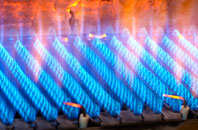 Pinkie Braes gas fired boilers